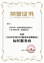 GEO标杆服务能力缩略图